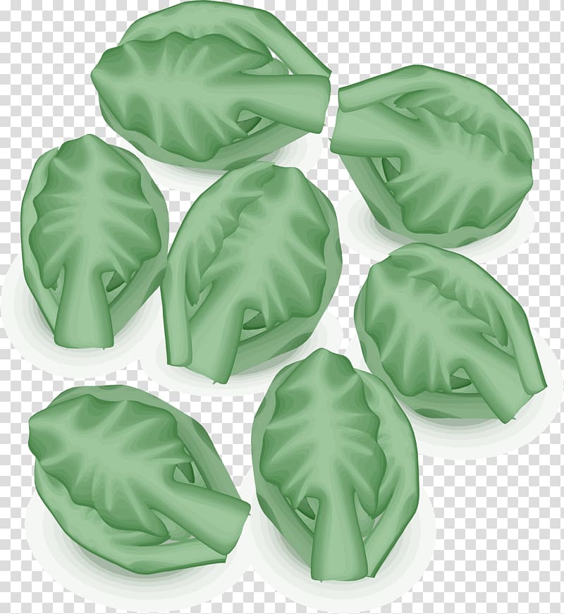 Brussels sprout Leaf vegetable Bubble and squeak Cabbage Sprouting, vegetation transparent background PNG clipart