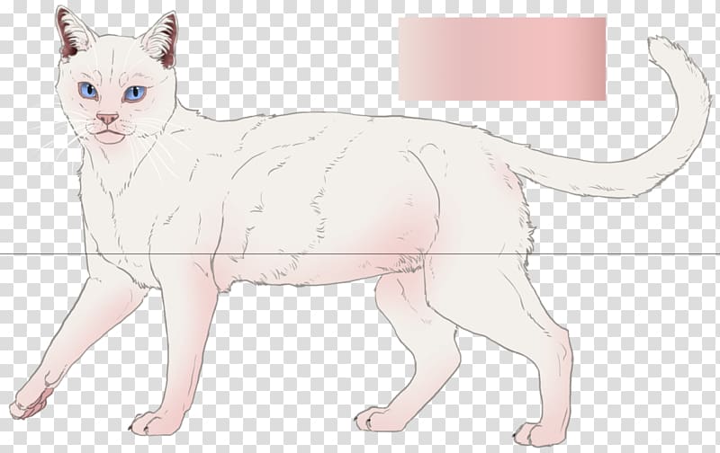 Devon Rex Whiskers Kitten Domestic short-haired cat, kitten transparent background PNG clipart