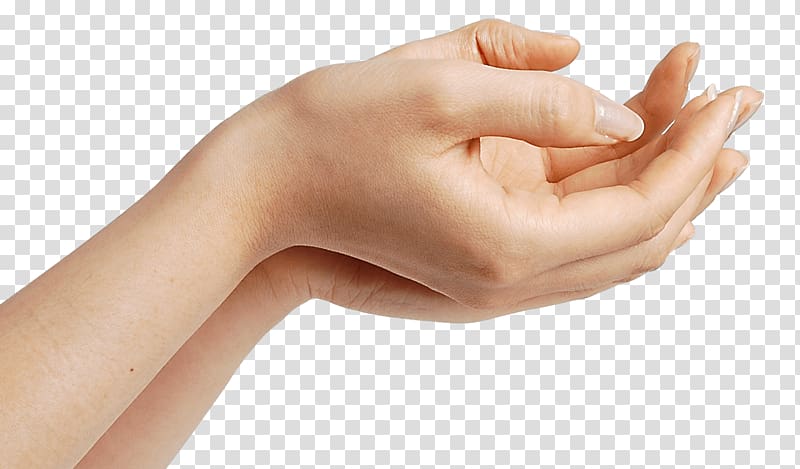 Hand Finger Human body, Hands Hand transparent background PNG clipart