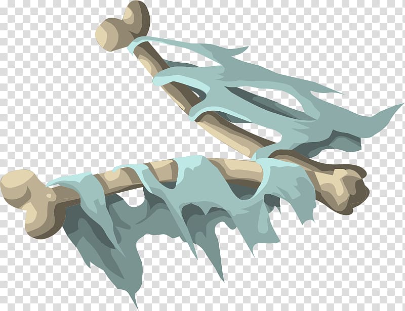 Bone Skeleton graphics Skull, fy transparent background PNG clipart