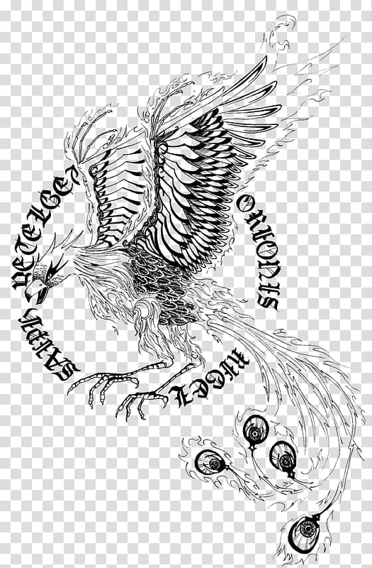 Tattoo Line art Phoenix Visual arts Sketch, Phoenix transparent background PNG clipart