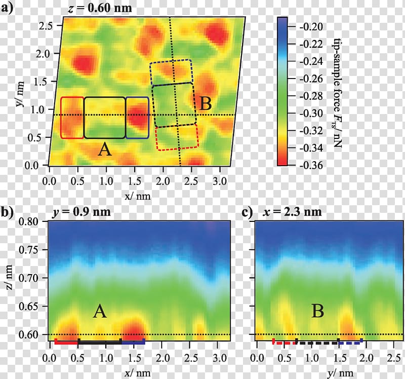 Perylenetetracarboxylic dianhydride Molecule Non-contact atomic force microscopy Adsorption, Snake Scale transparent background PNG clipart