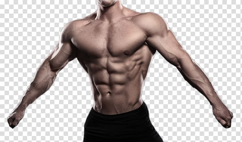 Muscle Bodybuilding , Open arms showing muscle man transparent background PNG clipart