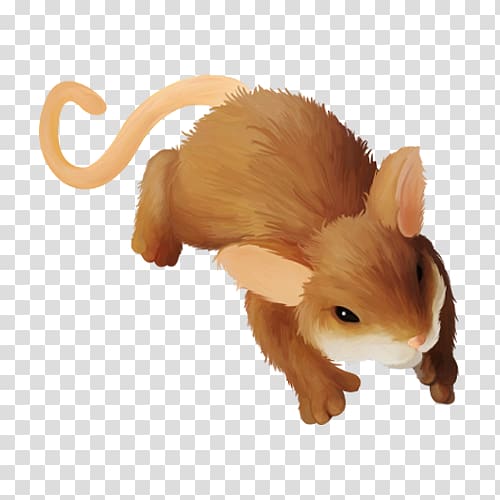 Hamster Canidae Muis, A squirrel transparent background PNG clipart