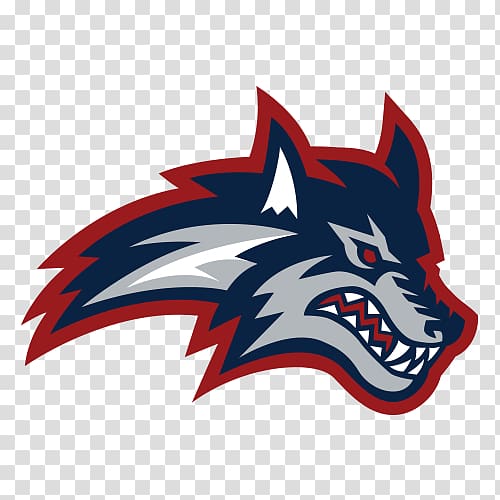 Stony Brook Seawolves football Stony Brook University Stony Brook Seawolves men\'s basketball Stony Brook Seawolves women\'s basketball, basketball transparent background PNG clipart