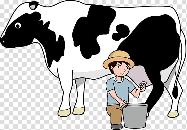 Dairy cattle Baka Animal Husbandry Live, taking care of an animal transparent background PNG clipart
