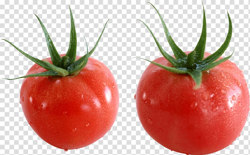 Plum tomato Cherry tomato Bush tomato, Tomato transparent background PNG clipart