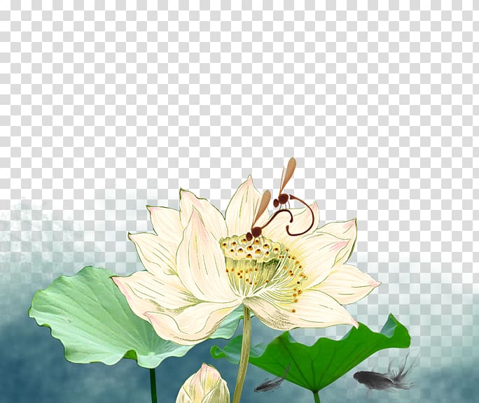 Nelumbo nucifera Ink wash painting Chinoiserie, Ink lotus lotus transparent background PNG clipart