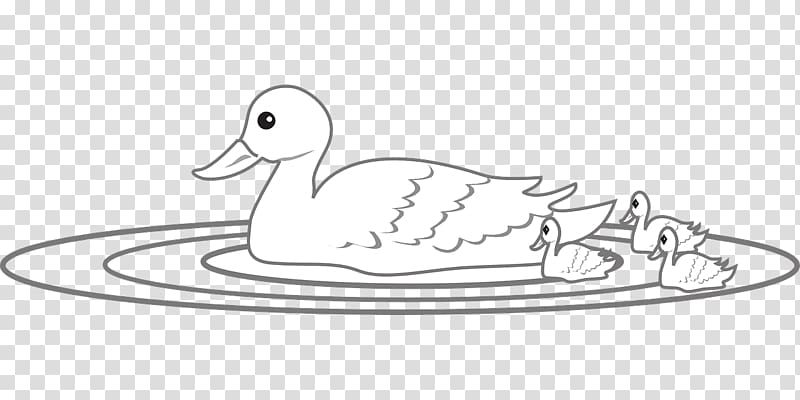 Baby Duckling Cygnini Coloring book Drawing, duck transparent background PNG clipart