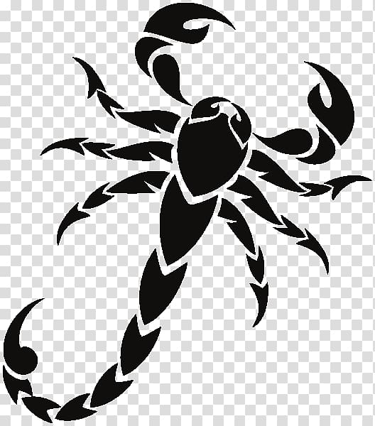 Scorpion Drawing , Scorpio transparent background PNG clipart