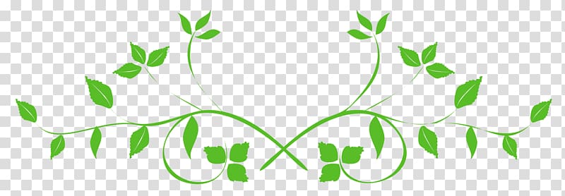 green plant , Leaf , Leaves Swirl transparent background PNG clipart