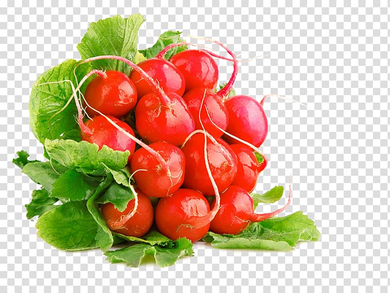 Garden radish Diabetes mellitus Vegetable Food Daikon, vegetable transparent background PNG clipart