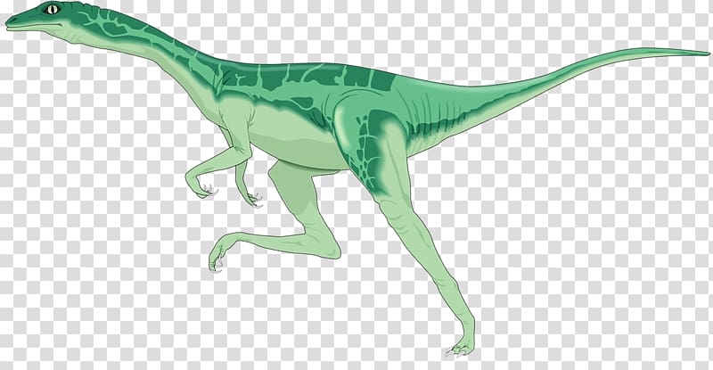 Dinosaurus The Lost World Velociraptor Brachiosaurus Stegosaurus, dinosaur transparent background PNG clipart