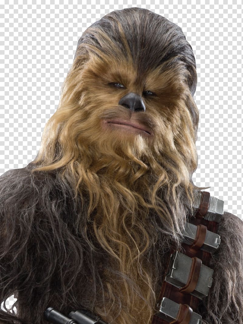 Chewbacca Han Solo Star Wars sequel trilogy Wookiee, chewbacca transparent background PNG clipart