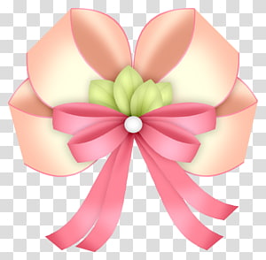 Pink ribbon bow transparent background PNG clipart