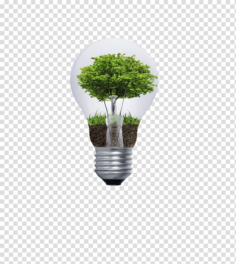 Incandescent light bulb Tree, Bulb tree design transparent background PNG clipart