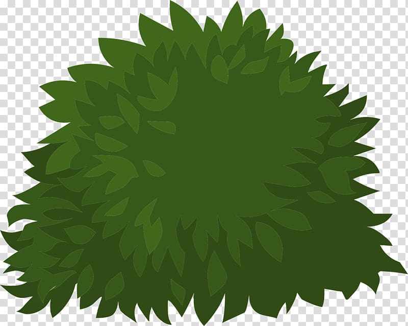 Bush Plant Clip Art