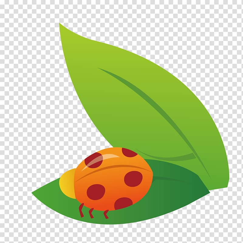 Green leaf seven star ladybug decoration transparent background PNG clipart