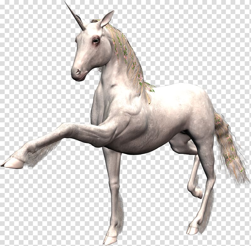 Unicorn Horse Animation Desktop , unicorn transparent background PNG clipart