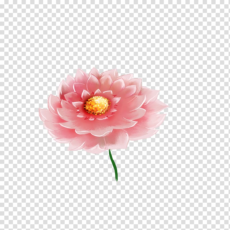 Cartoon , Hand-painted lotus transparent background PNG clipart