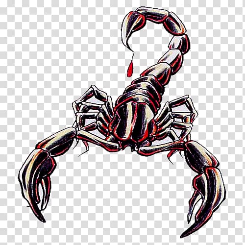 Scorpion Animal, alice no pais das maravilhas transparent background PNG clipart
