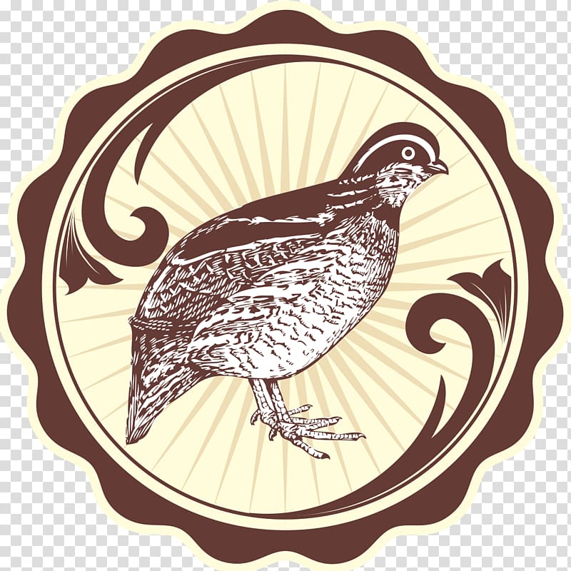 Quail eggs Bird Landfowl, Bird transparent background PNG clipart