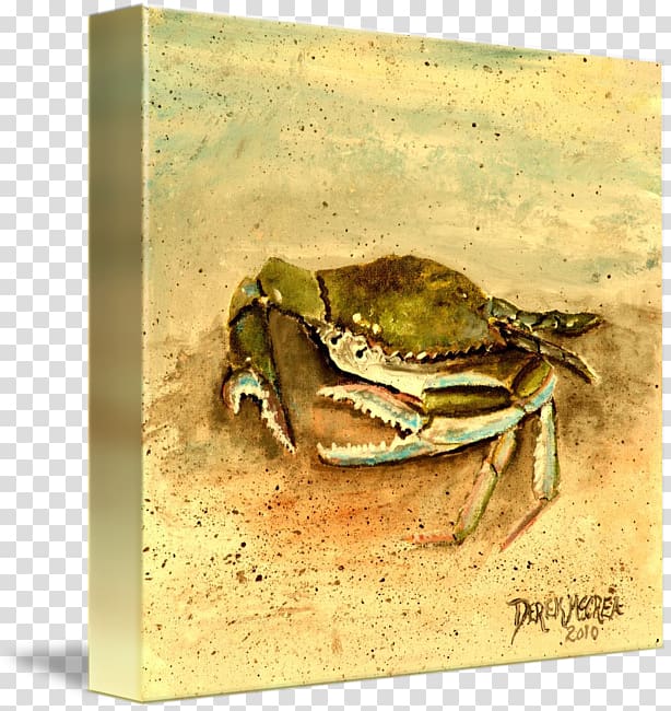 Dungeness crab Freshwater crab Gallery wrap, watercolor crab transparent background PNG clipart