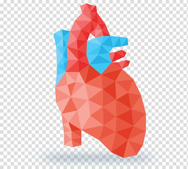 Heart Drawing Geometry, heart transparent background PNG clipart