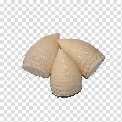 Bamboo shoot Cockle, Bamboo shoots product transparent background PNG clipart