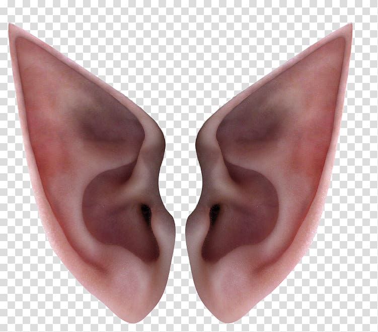 person's ears, Ear Elf Icon, Elf ears transparent background PNG clipart
