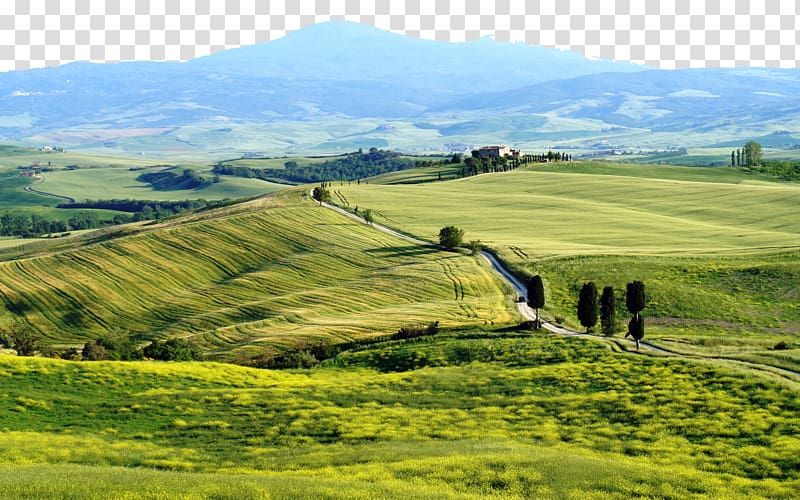 Siena Umbria Pienza Affittacamere Gozzante Agriturismo A Terrapille, Italy Tuscany grassland eight transparent background PNG clipart