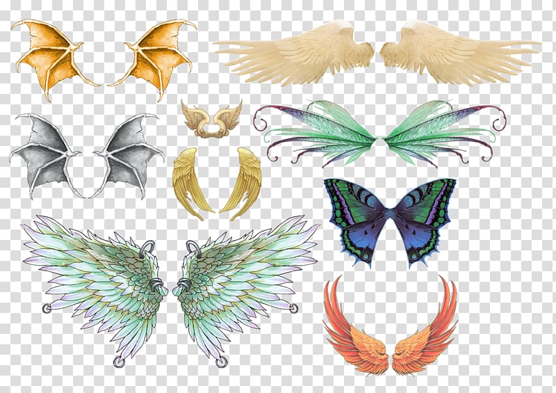 Bird Drawing , Pretty Wings pull material Free transparent background PNG clipart