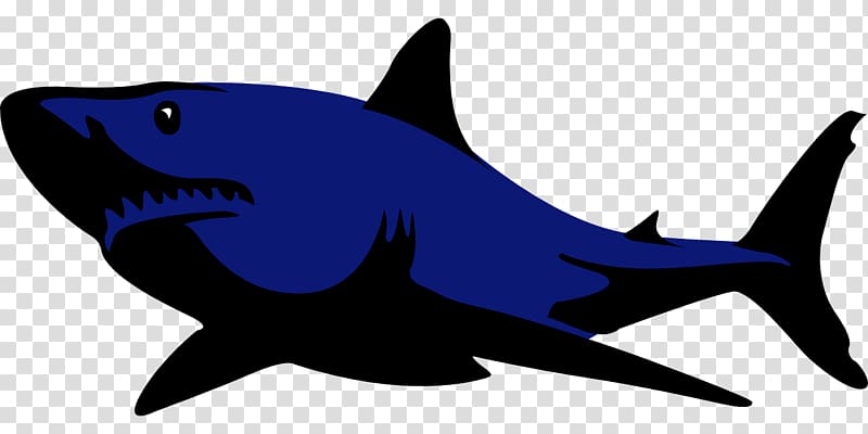 Blue shark , Blue shark transparent background PNG clipart