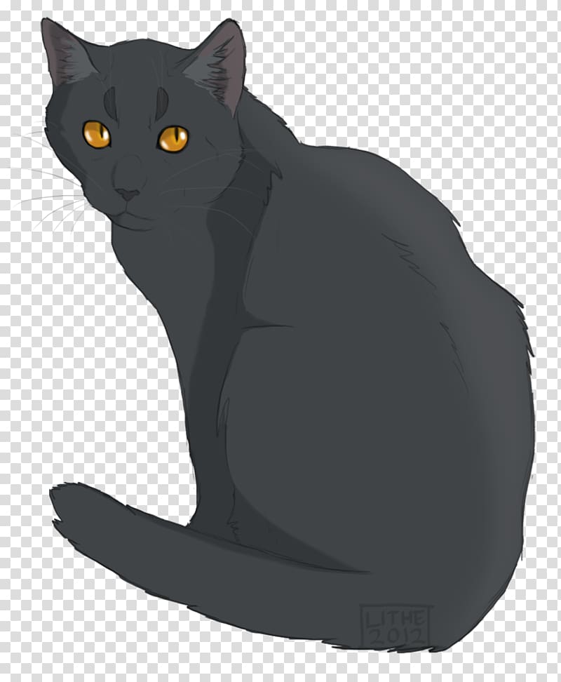 Cats of the Clans Warriors Erin Hunter ThunderClan, Cat transparent background PNG clipart