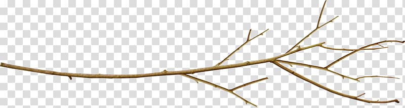 Branch Twig Leaf Tree Plant stem, halberd transparent background PNG clipart