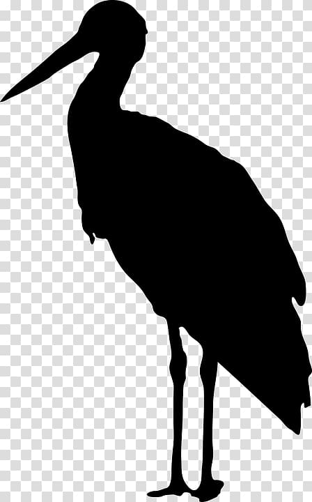 Bird Silhouette , vogelschwarz transparent background PNG clipart