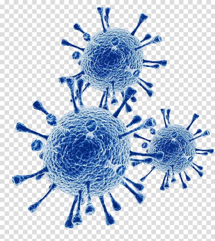 Respiratory syncytial virus infectious disease Influenza Infection Coronavirus, transparent background PNG clipart