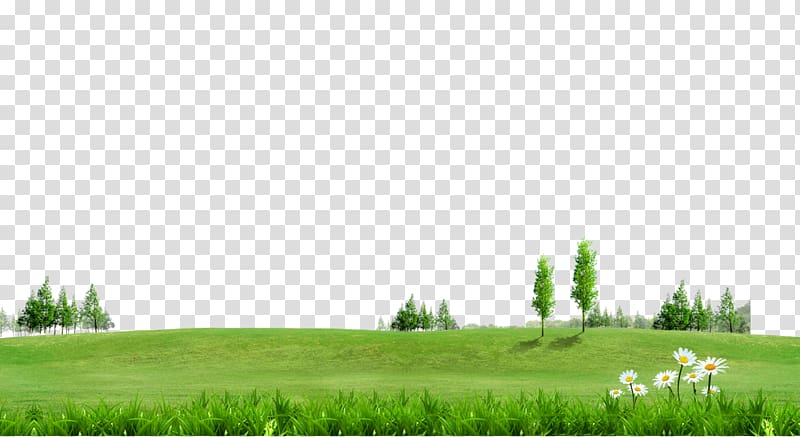 green plain , Fundal Information, Green grass trees on green background material transparent background PNG clipart