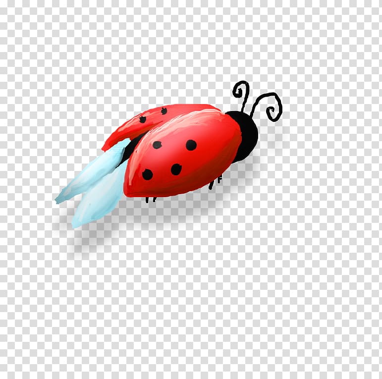 Beetle Ladybird Coccinella septempunctata Beneficial insects, beetle transparent background PNG clipart