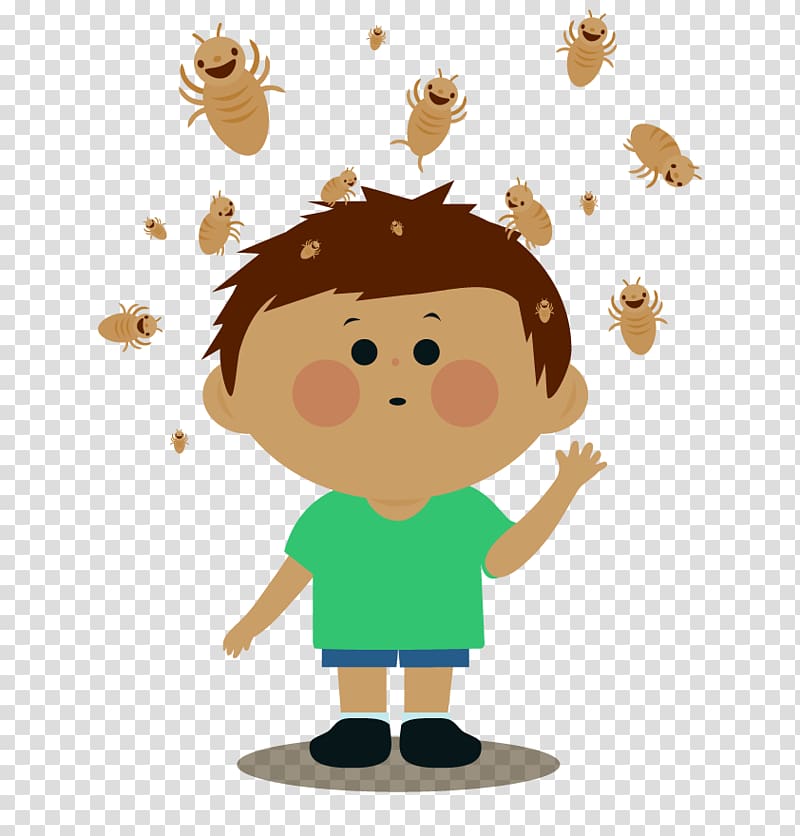 Head louse Head lice infestation , if you don\'t rush transparent background PNG clipart