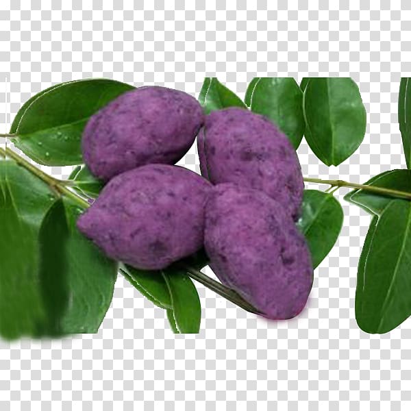 Purple Mulberry Dioscorea alata Red cabbage, Full purple purple sweet potato transparent background PNG clipart