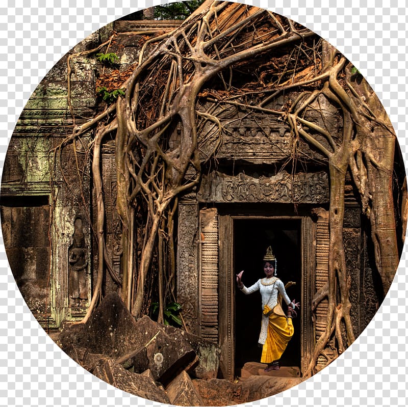 Ta Prohm Angkor Wat Bayon Wat Phnom Temple, temple transparent background PNG clipart