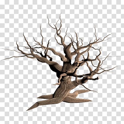 Tree Branch Snag , tree transparent background PNG clipart