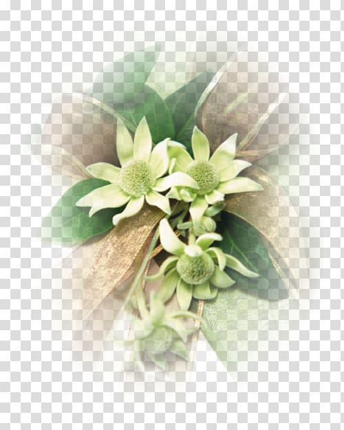 Floral design Cut flowers Day spa Flower bouquet, flower transparent background PNG clipart