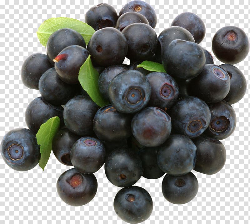 Blueberries transparent background PNG clipart