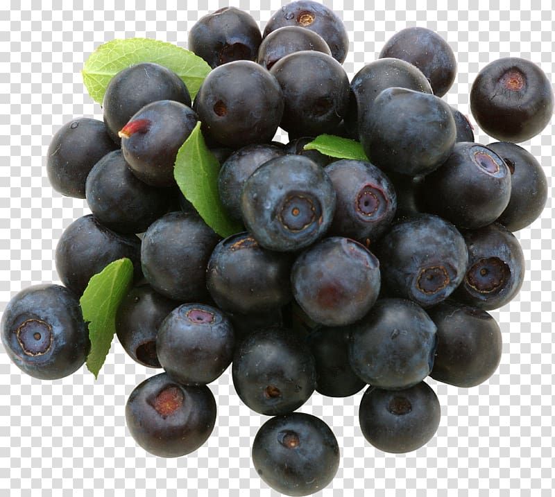 European blueberry Vaccinium uliginosum Fruit, Blueberries transparent background PNG clipart