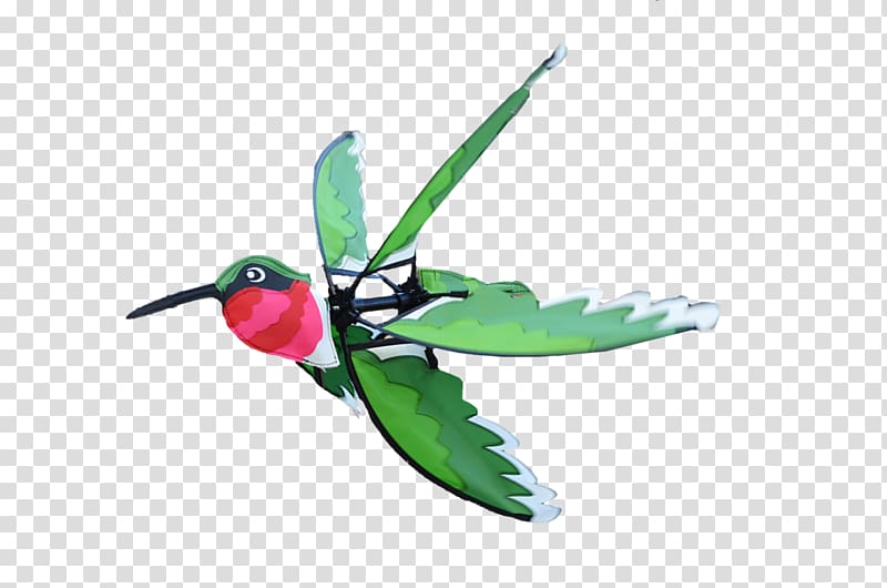 Hummingbird M Insect Wing Beak, artistic wind transparent background PNG clipart