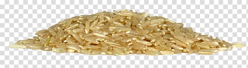 System of Rice Intensification Grain Nutrition Panini, rice transparent background PNG clipart