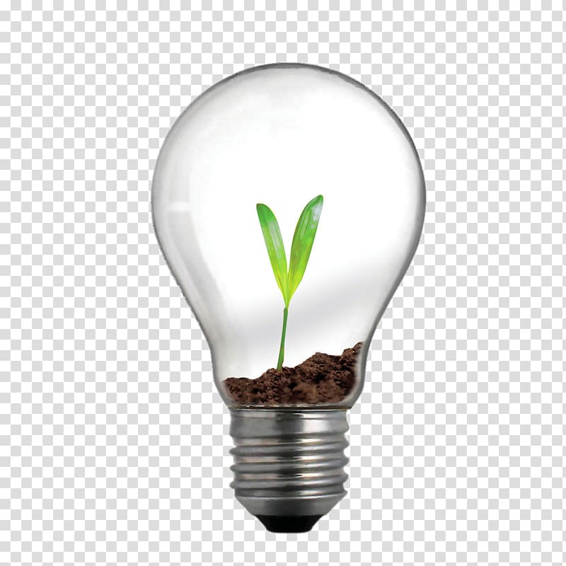 Incandescent light bulb Lighting Innovation Business, Bulb plant transparent background PNG clipart
