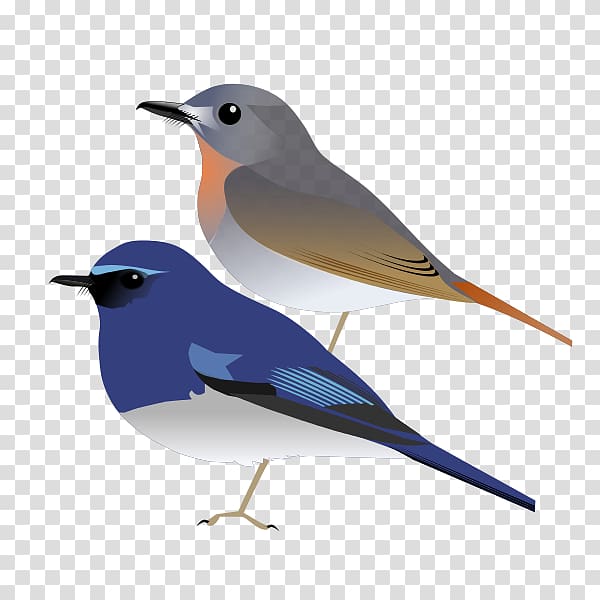 Common nightingale Bird European robin White-bellied blue flycatcher White-bellied blue robin, Bird transparent background PNG clipart